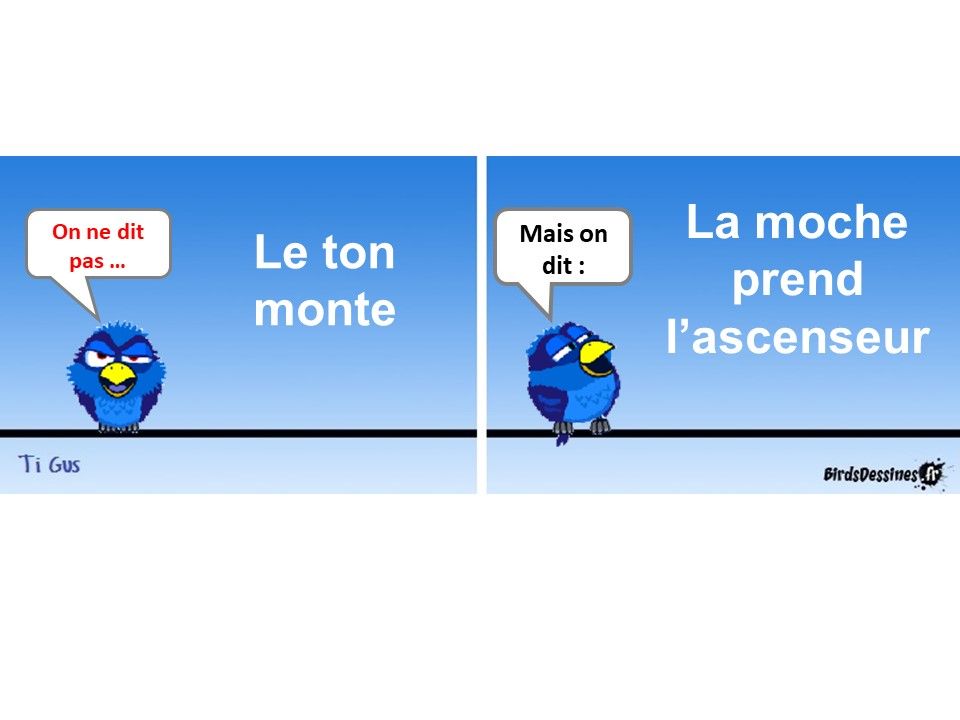 Divers - Cours de Français - 1