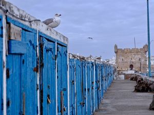 Quelques parts, là où les poissons sont débarqués, en levant les yeux au ciel, on peut apercevoir sous les cris des pêcheurs et se confondant avec le bleu immaculé du ciel, des portes bleues que les habitants finissent par ne plus voir...et pourtant elles sont fascinantes de charme et donnent à la promenade un cachet qui mériterait un peintre de talent.