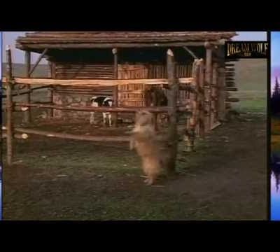 Témoignage/  Blizzard  au XIXème siècle  comme aujourd'hui  + vidéo "coulisse de tournage + livres de l'enfant de pionniers américains, Laura Ingalls  ( 7 février 1867 - 10 février 1957 )