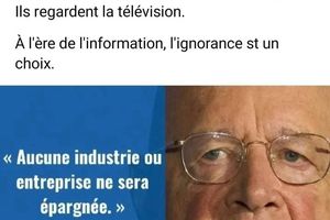 Avec les récits de l'Ukraine, du Climat et des Pandémies, visualisez que vous n'avez pas votre place dans l'agenda globaliste. Pour eux, vous respirez trop, vous mangez trop, vous gagnez trop d'argent, vous pensez trop, vous ne travaillez pas assez, vous consommez trop et vos...