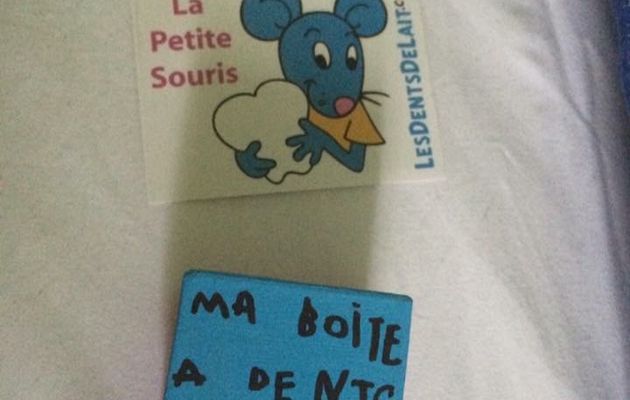 Pièce personnalisée de la petite souris 