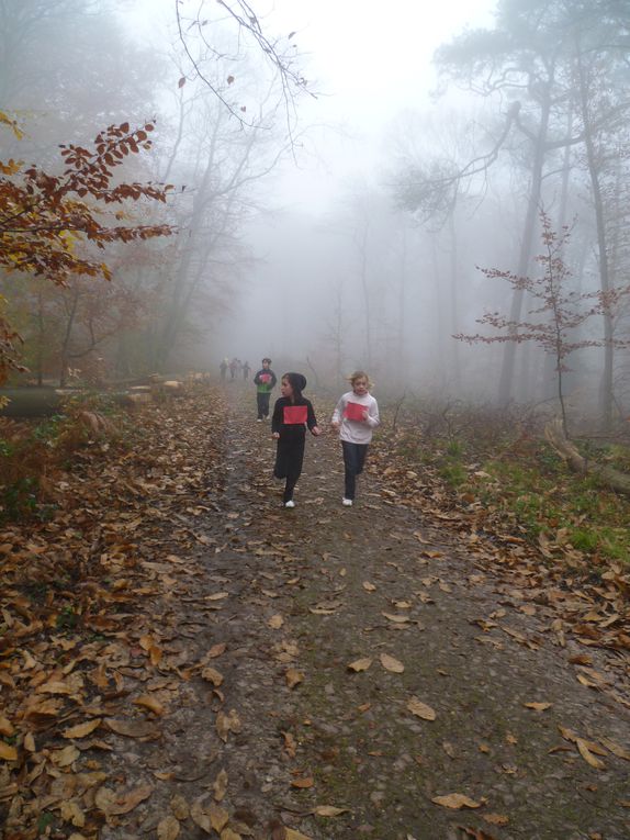 Les CE2, CM1 et CM2 de Brossolette ont participé au cross organisé par l'Office Municipal des Sports en forêt des Essarts