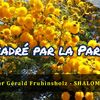 Vidéo 151 - Encadré par la Parole