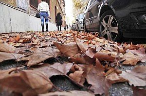 Caduta su buca stradale coperta di foglie