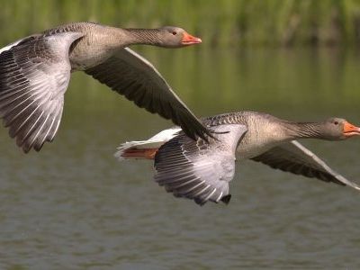 DE DEUX MOTS... (22)