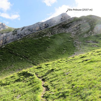 Tête Pelouse (2537m)  En boucle depuis les Confins   Bornes - Aravis / Haute-Savoie / La Clusaz