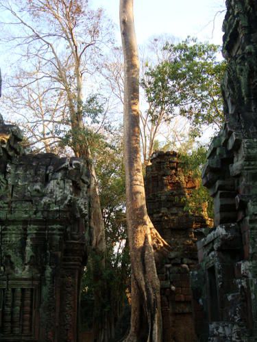 STUNG TRENG
BANLUNG
KRATIE
ALONG VENG . temple du Preah Vihar
SIEM REAP . temples ANGKOR
...