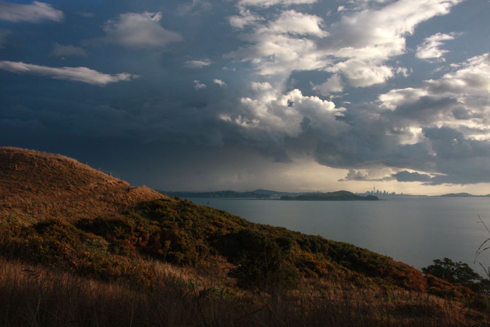 Cette île est située à une heure de bateau à l'est d'Auckland, dans le Golfe d'Hauraki. L'île fait l'objet d'un programme de restauration incluant la replantation d'arbres indigènes et la réintroduction d'oiseaux endémiques