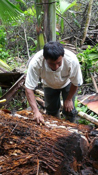 villages d artisants et sejour dans une famille indigene shuar