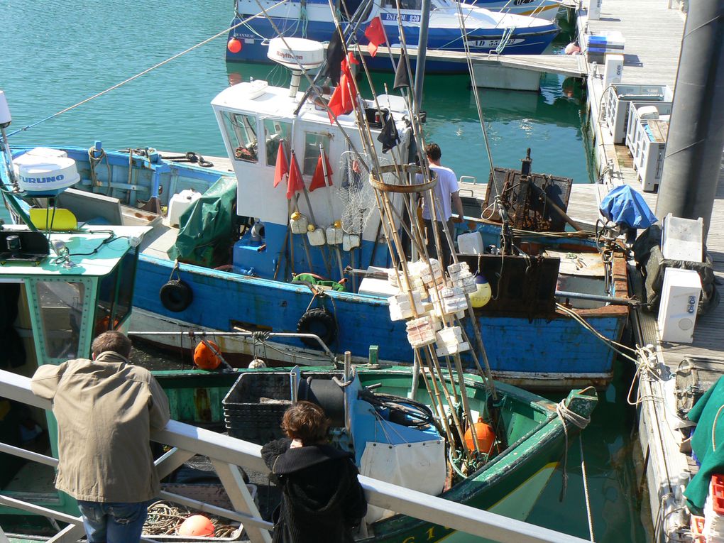 Pointe du Millier,
Pointe du Raz
Baie des Trépassés
Pointe du Van
Douarnenez