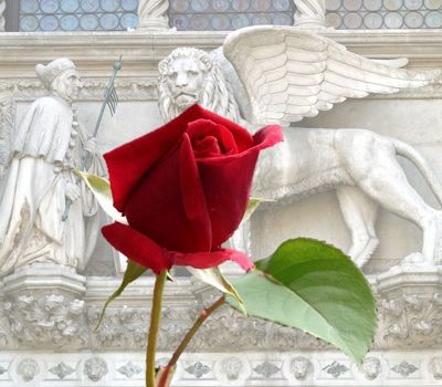 Le Bouton de Rose rouge, à la Saint Marc, à Venise le 25 avril, fête la Force de l'Amour (de Tancrède, la Terreur des Maures, pour Maria, la Fille du Doge) et de tous les Amoureux (et des Valeurs : Courage et Fidélité).