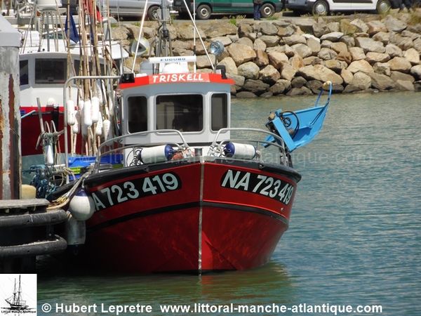 TRISKELL  NA.723419