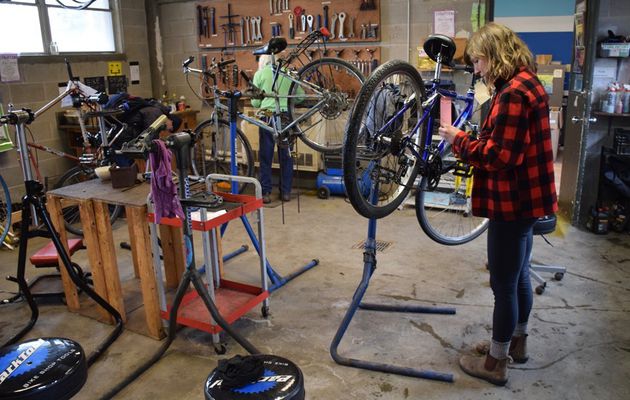 Bicycle - Spring Cleaning