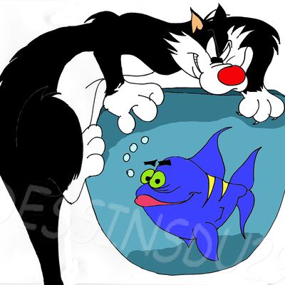 Gros minet et son poisson