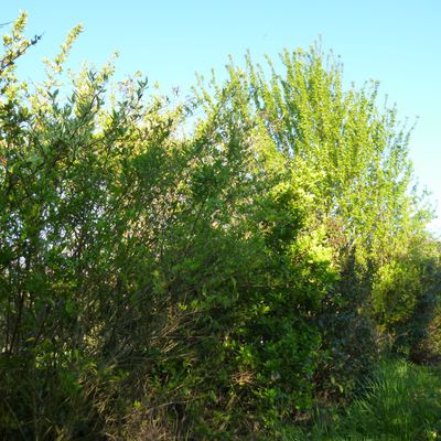 Le Parc au printemps et en été