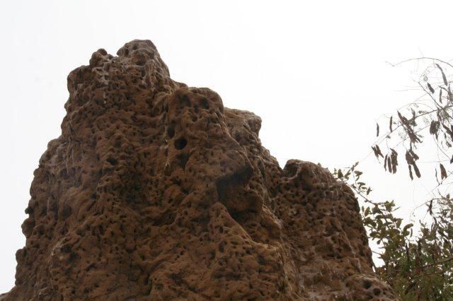 Album - Sine-Saloum-Senegal