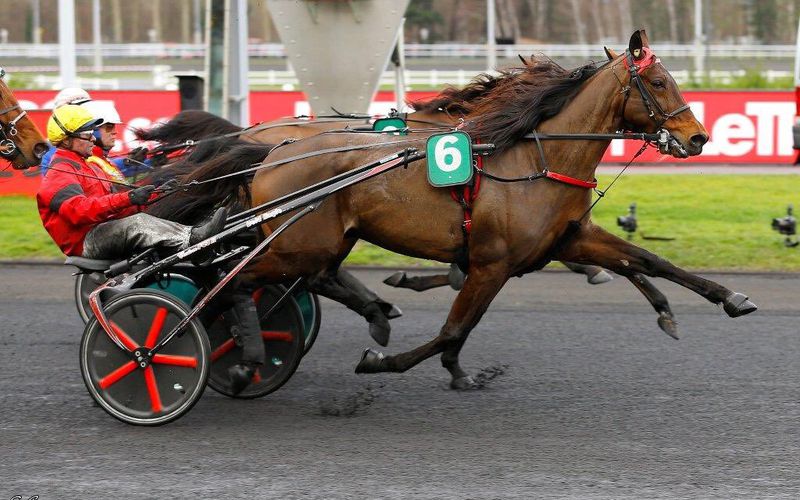 27 février 2019 / paris-vincenne 