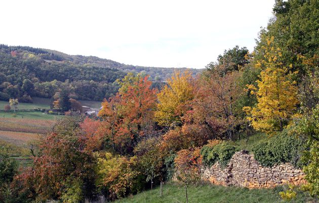 Ville sur Jarnioux Le Cosset octobre 2015