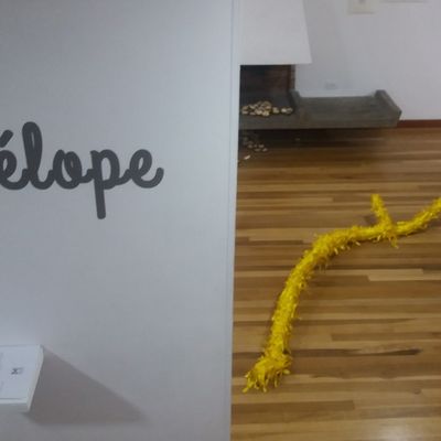 COLECTIVA PENÉLOPE, MALEZA PROYECTOS BOGOTÁ, MARZO 2019