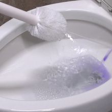 Cleaning The Toilet Brush - The 5 Best Tips