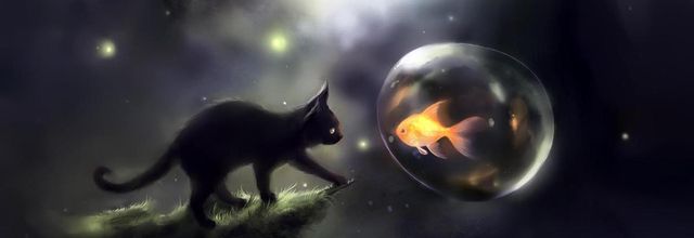 LE CHAT, CET ÊTRE MYSTERIEUX ET SES PETITES MANIES.