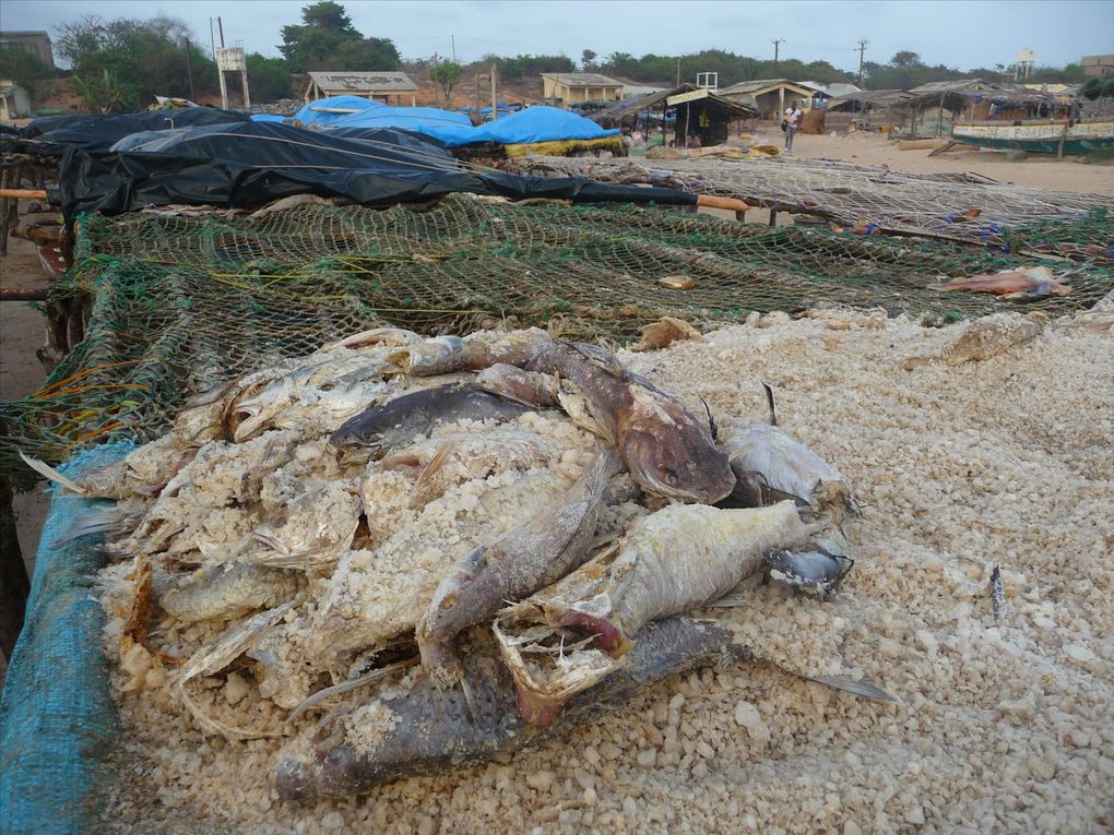 Album - La casamance