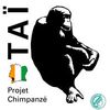 Taï Chimpanzee Project (TCP) 