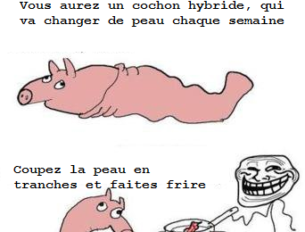 Bacon infinie 
