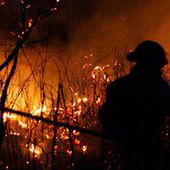 Departamento colombiano de Antioquia en alerta roja por incendios forestales