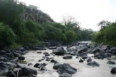 Awash National Park, Rift Valley, East Ethiopia. Fauna and Flora around the park and the Awash river.