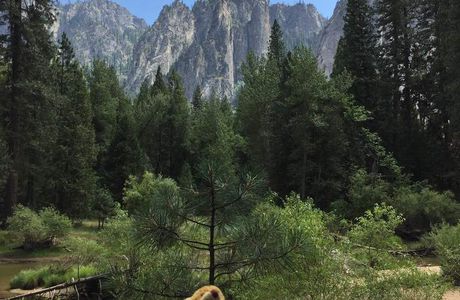 Yosemite: Valley
