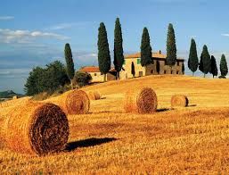 Tuscany &amp; wine