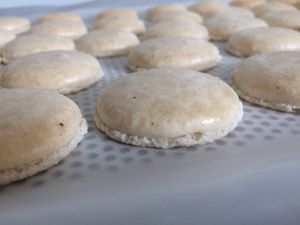 Macarons vanille et Nucellina