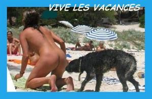 Les vacances avec son chien, préparez un  maillot