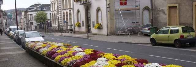 ALGRANGE 2010: Fleurs de Toussaint et illuminations de Noël
