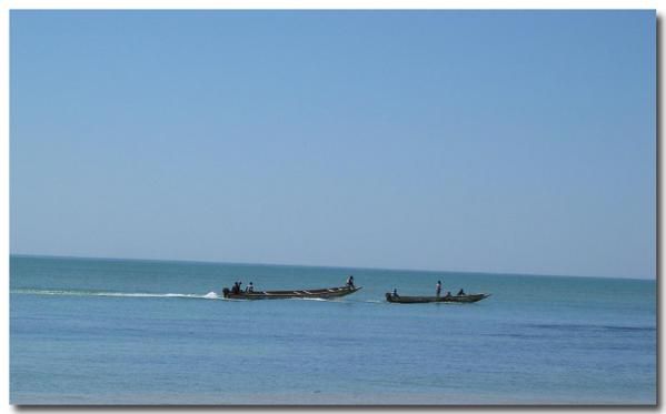 Album - le-senegal