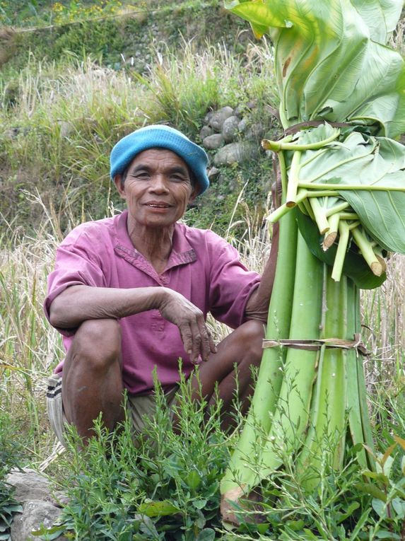 Album - Les-philippines---nord-de-Luzon