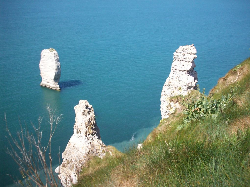 Album - Le-Pays-des-Hautes-Falaises