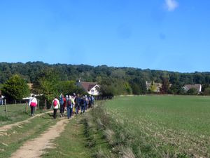 Randonnée autour de Feucherolles