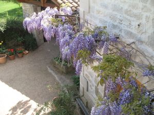 Scotney Castle Garden - Sussex