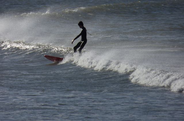 Petits surfeurs à l'eau....