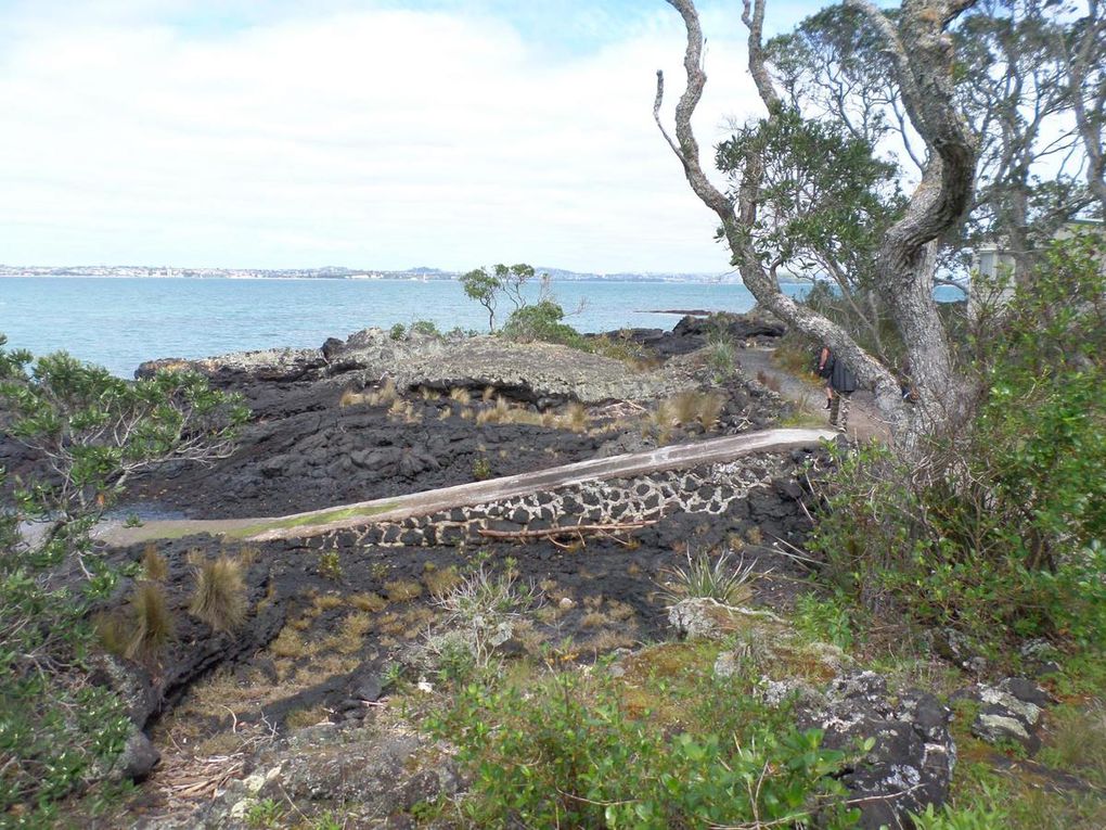 Rangitoto Island : l'île du volcan qui sommeille