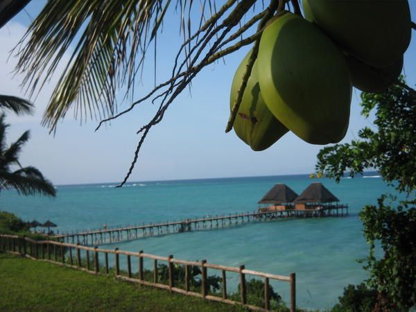 Petit weekend de reve à Zanzibar...au menu: moto, hôtel de rêve, nage avec les dauphins et forêt tropicale
