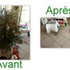 le sapin Avant noël et après 