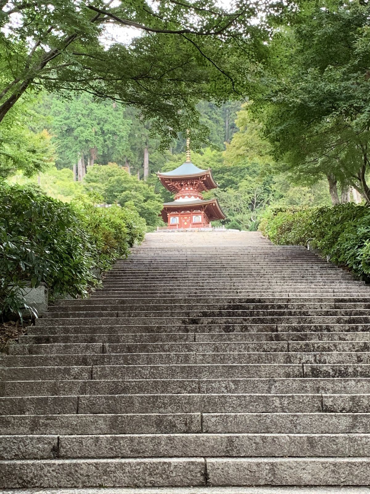 Osaka: Katsuôji 勝尾寺, le temple aux Darumas