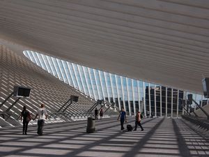 Santiago Calatrava - La Gare de Liège - Photos: Lankaart (c)
