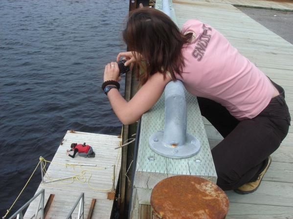 Album - Tadoussac, son Fjord et ses baleines ...