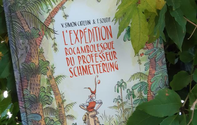 L'expédition rocambolesque du professeur Schmetterling