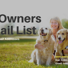 Get good value for your money with Pet Owners Mailing List