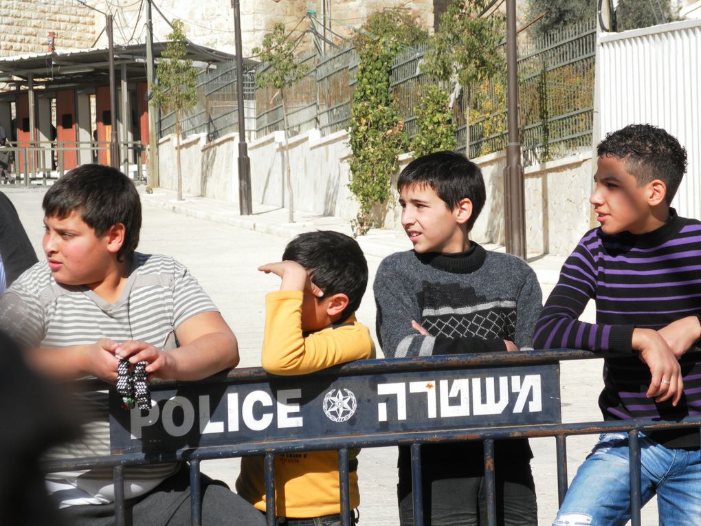 Jérusalem, Hebron, Aïda,Kalandia, Silouane... colonies, Résistance...